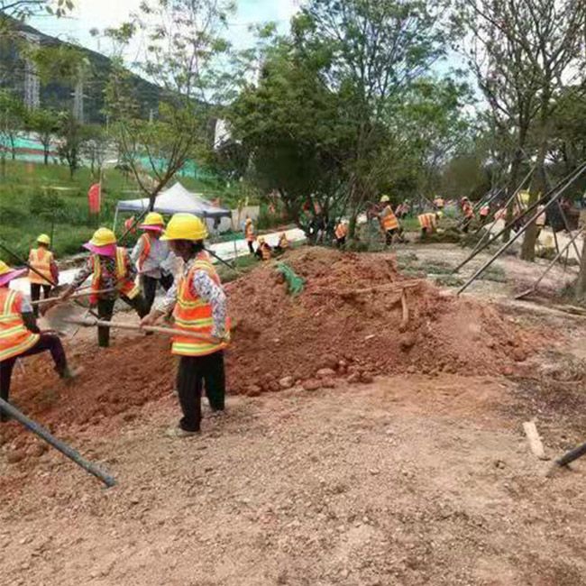 道路綠化施工設(shè)計及養(yǎng)護(hù)